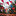 Favicon van straatvlaggetjes.nl