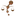 Favicon van strafrechtadvocatennetwerk.nl