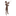 Favicon van strijkstokatelier.nl