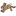 Favicon van studiobiesterveld.nl