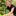 Favicon van studiomus.nl