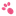 Favicon van studiopets.com