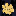 Favicon van stylerz24.nl