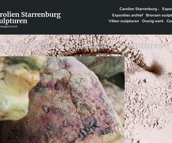 http://www.starrenburgmodernartsculptures.wordpress.co