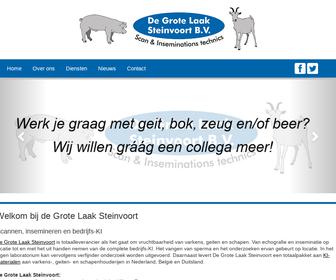 http://www.steinvoort.nl