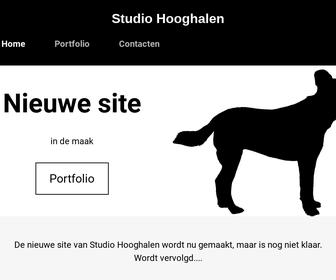 http://www.studiohooghalen.nl