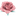 Favicon van sugarsugar.nl