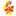 Favicon van superflora.nl