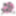 Favicon van sweetdutchtraditions.nl