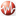 Favicon van swottraining.nl