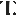 Favicon van taravanmunster.com