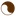Favicon van tacoyo.nl