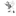 Favicon van taichizeeland.nl