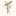 Favicon van tamarriani.nl