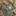 Favicon van tamaskroezen.nl