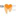 Favicon van tandartspraktijkslotermeer.nl