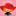 Favicon van tantehetty.nl