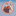 Favicon van tavarez21.nl