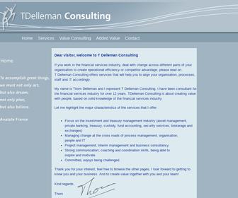 TDelleman Consulting