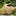 Favicon van terra-artes.nl