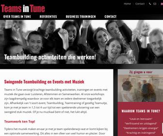 http://www.teamsintune.nl