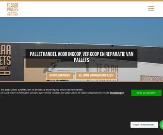 Handelsonderneming Te Slaa B.V.