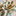 Favicon van theargentrose.com
