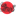 Favicon van thaimas.nl