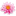 Favicon van thaithara.nl