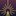 Favicon van thatsthespirit.nu