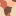Favicon van theaterinbedrijf.nl