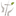 Favicon van theovanderplas.nl