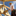 Favicon van tib-oosterveld.nl