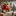 Favicon van tielit.nl