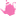 Favicon van tillyrose.nl