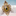 Favicon van tinman.nl