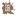 Favicon van tipsforkids.nl