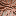 Favicon van tjatty.nl