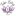 Favicon van tokolotus.nl