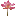 Favicon van toas.nl