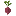 Favicon van toko-oost.nl