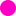 Favicon van tombirdistheword.com