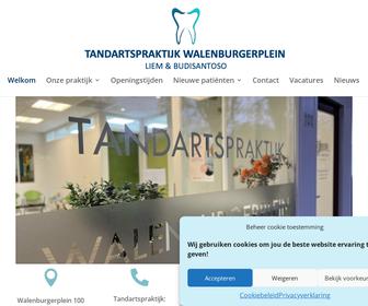 Tandartsenpraktijk Walenburgerplein