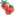 Favicon van trayplant.nl