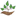 Favicon van tree-start.com
