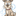 Favicon van trimsalonilse.nl