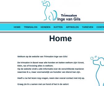 http://www.trimsaloningevangils.nl