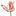 Favicon van tulpmediation.nl