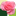 Favicon van tuin3d.nl