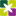 Favicon van tuincentrumdenieuwstad.nl